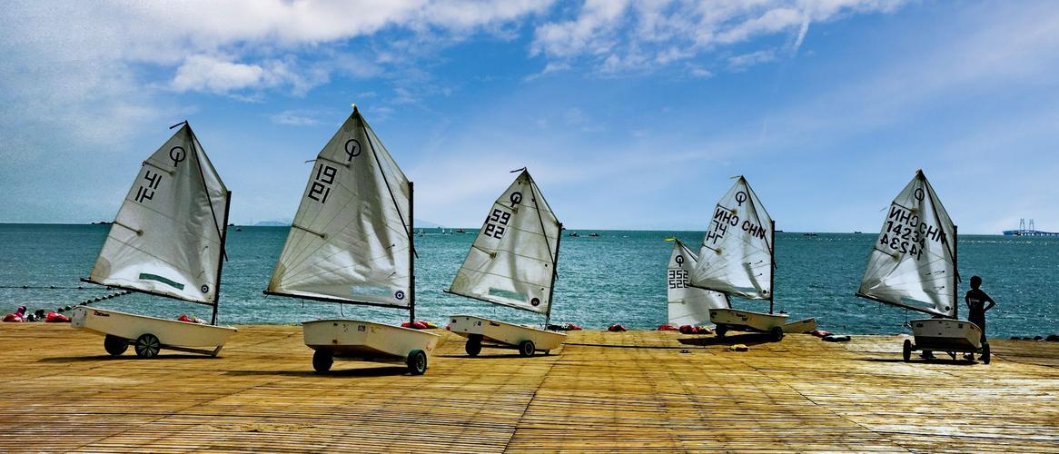 S罗的回归 S罗的回归