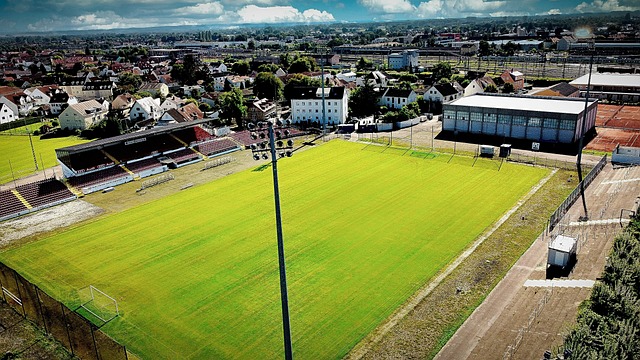 仅成功夺回 仅成功夺回