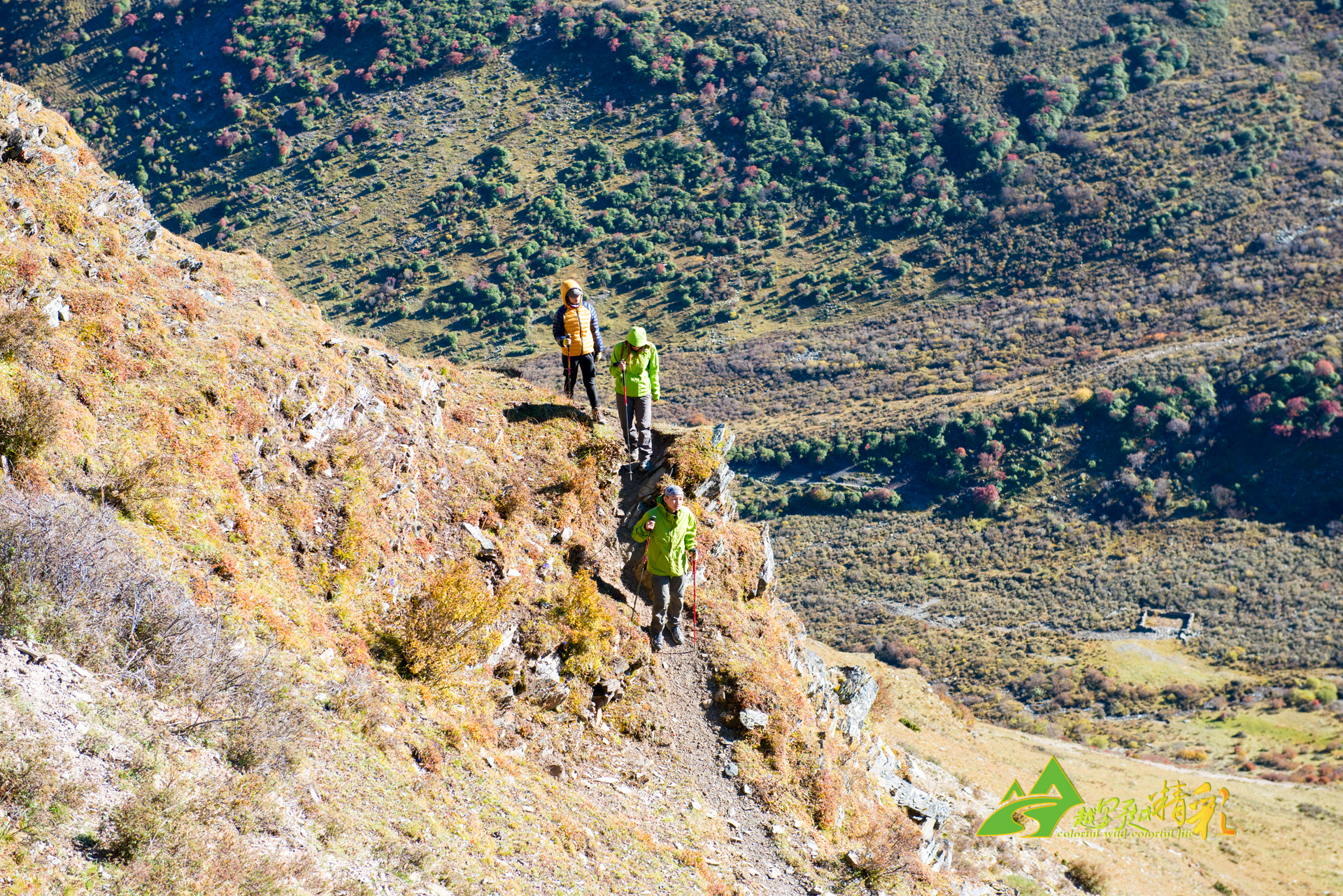 核心防守人 核心防守人