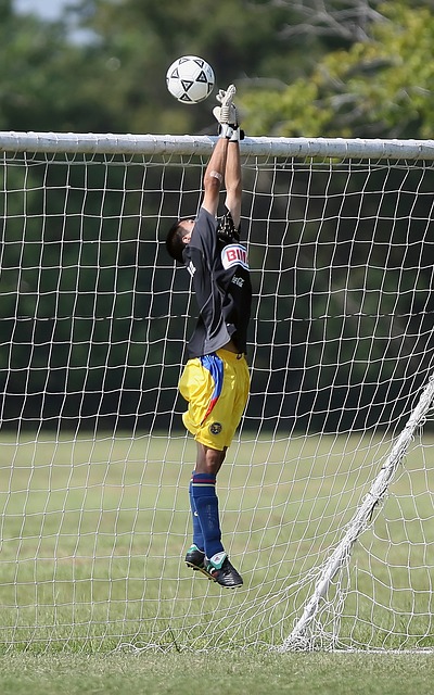 奏的经济环 奏的经济环